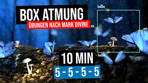 images/tn-videos/boxatmung-10min-5555.jpg