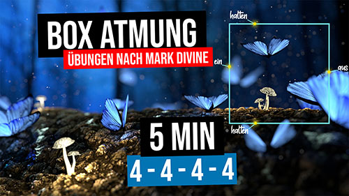 images/tn-videos/boxatmung-5min-4444.jpg