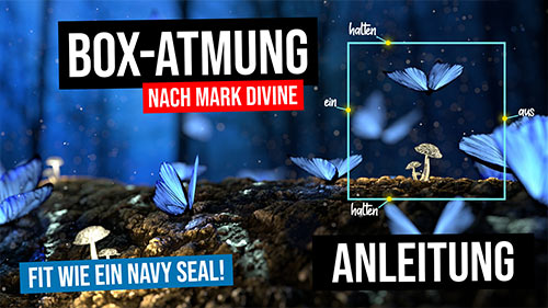 images/tn-videos/boxatmung-anleitung.jpg