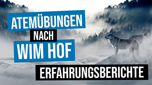 images/tn-videos/tn-wimhof-erfahrungsberichte.jpg